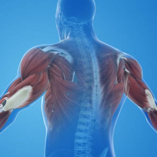 istockphoto-1767134038-612×612 NDIS Nursing Services Australia